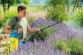 Опрыскиватель Hobby exclusiv 2